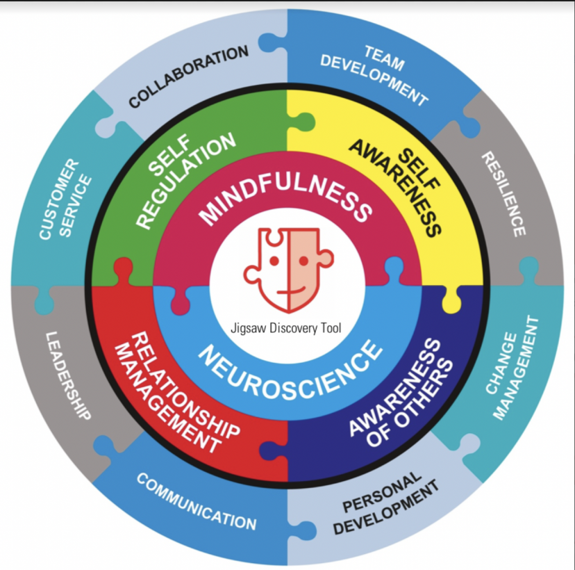 Jigsaw vs. MBTI: Key Differences Explained – Ignite Blog